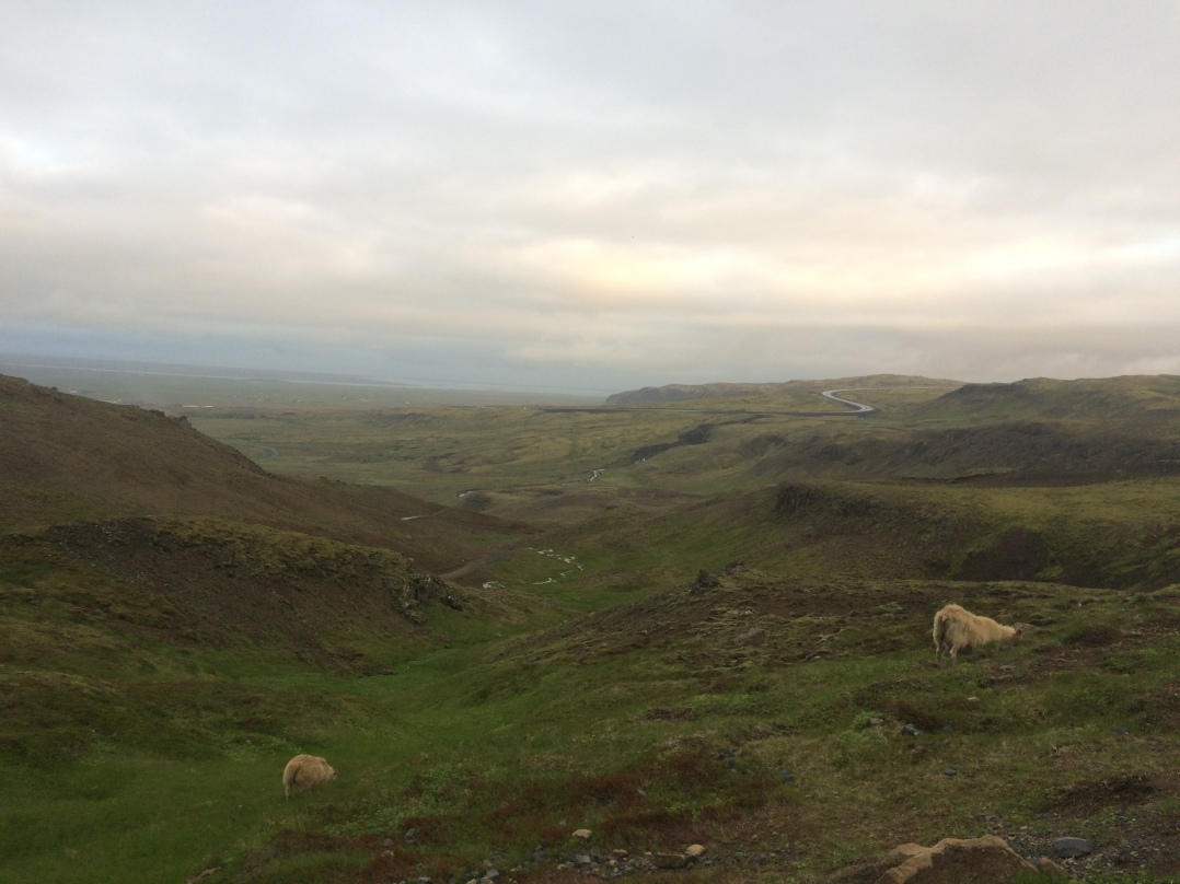 Islandia road trip 15 días - Blogs de Islandia - Día 2: Reikjavik (2)